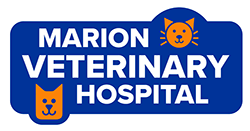 Marion Veterinary Hospital