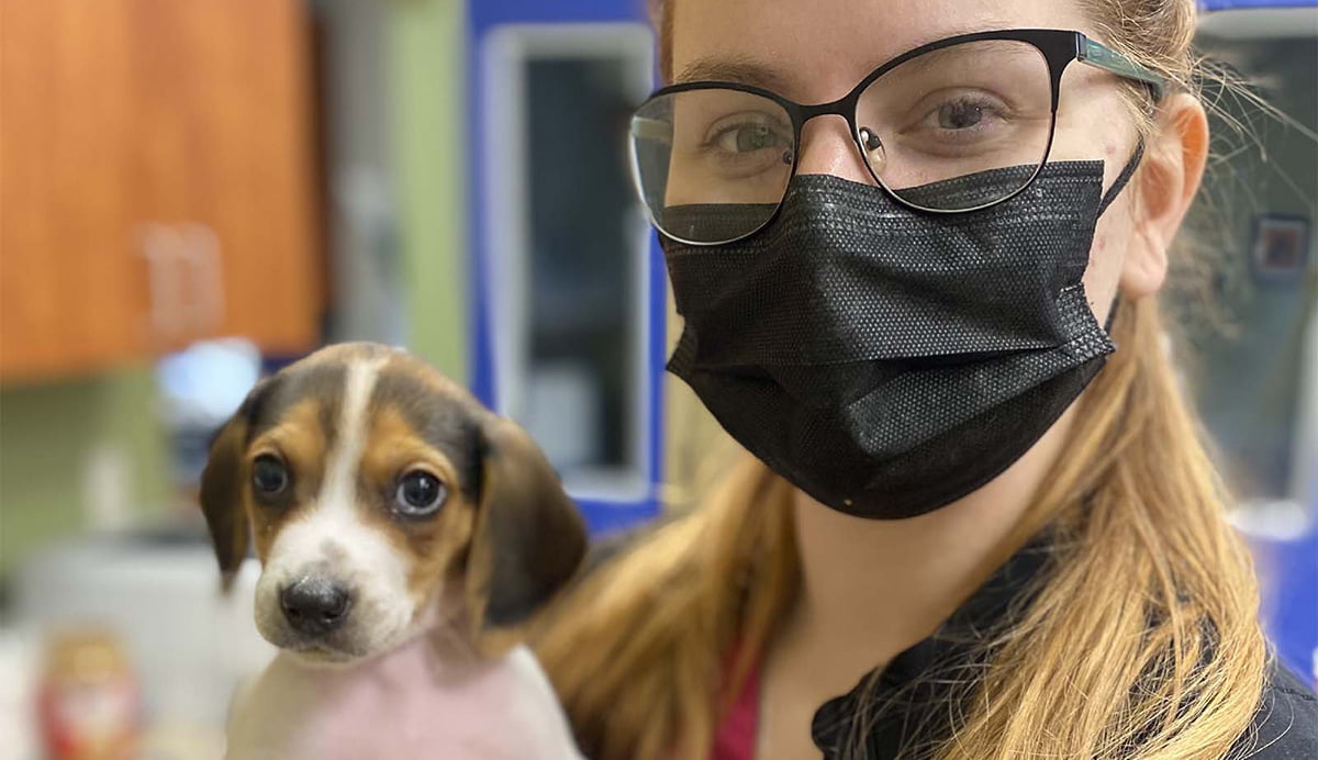 Our Team Marion Vet Hospital in Ocala, FL